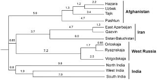 hazara dna|Afghanistan's Ethnic Groups Share a Y.